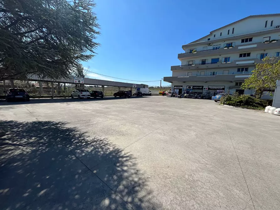 Immagine 6 di Locale commerciale in vendita  in SS 16 ADRFIATICA a San Salvo