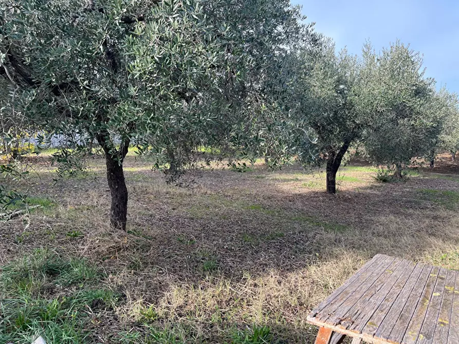 Immagine 2 di Terreno residenziale in vendita  in C.DA INCORONATA a Vasto