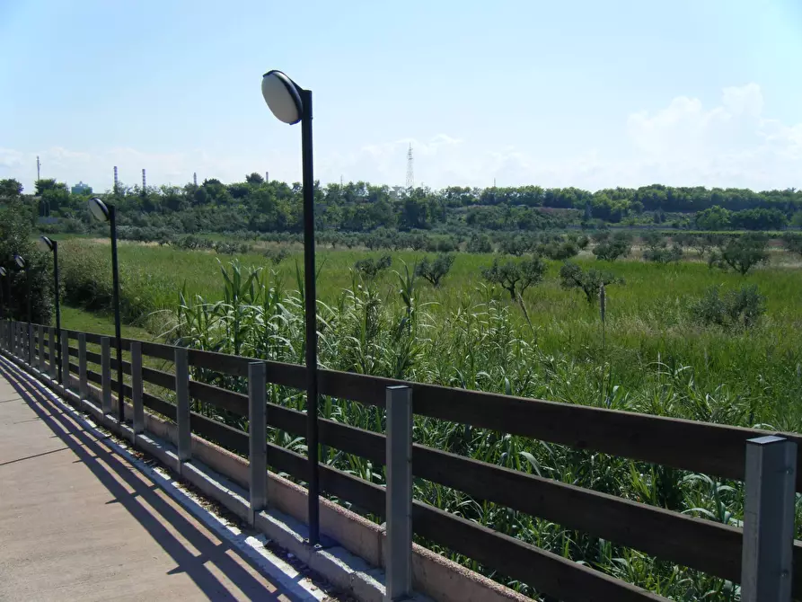 Immagine 3 di Agriturismo in vendita  in SS 16 SUD a San Salvo