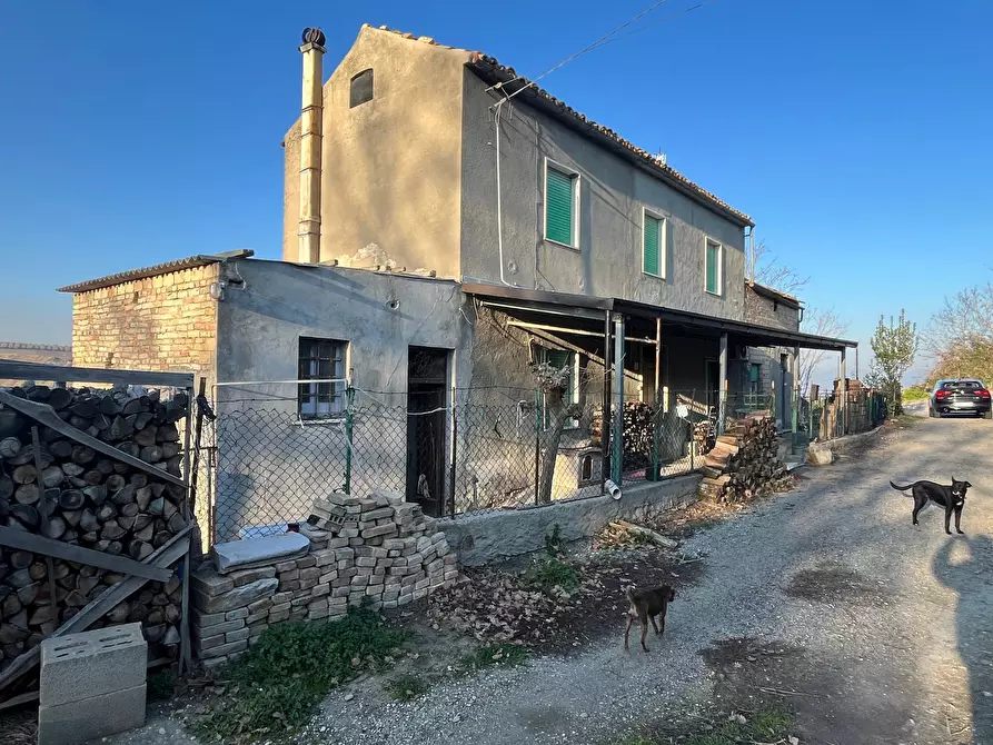 Immagine 2 di Casa indipendente in vendita  in CONTRADA BORAGNA a Scerni
