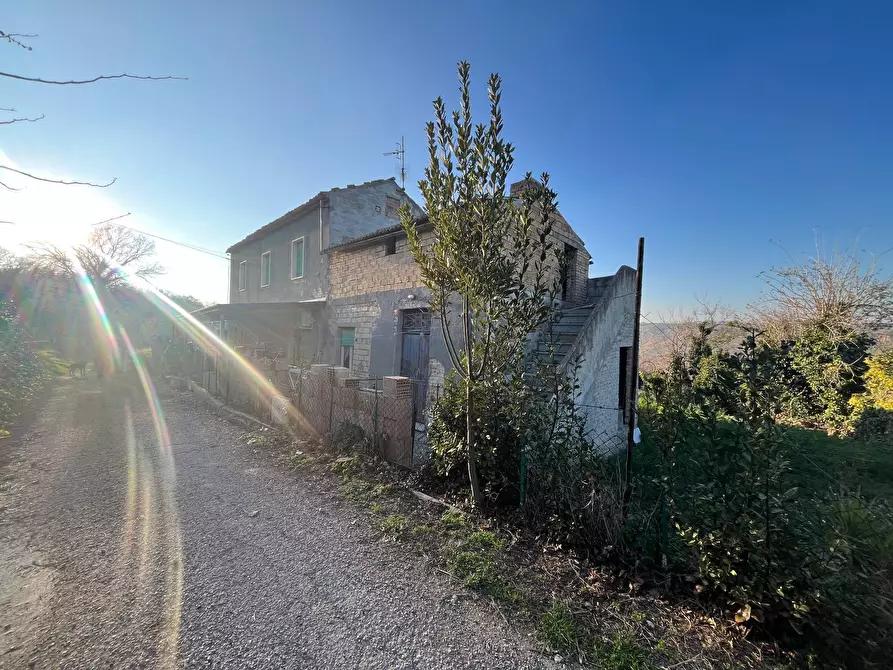 Immagine 4 di Casa indipendente in vendita  in CONTRADA BORAGNA a Scerni