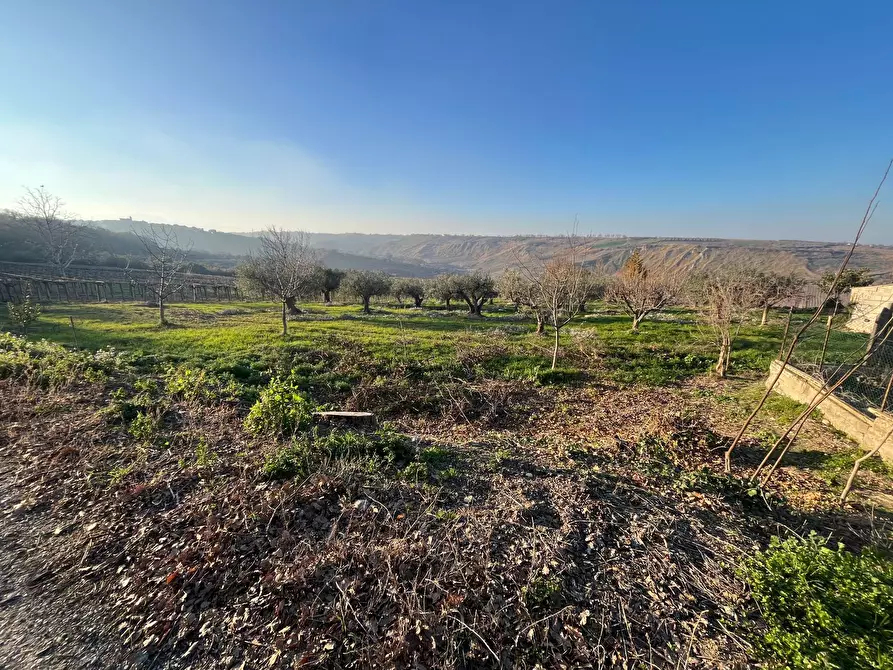 Immagine 5 di Casa indipendente in vendita  in CONTRADA BORAGNA a Scerni