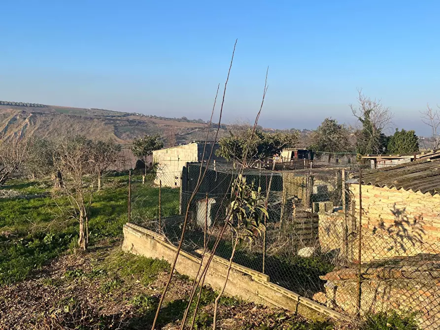 Immagine 6 di Casa indipendente in vendita  in CONTRADA BORAGNA a Scerni
