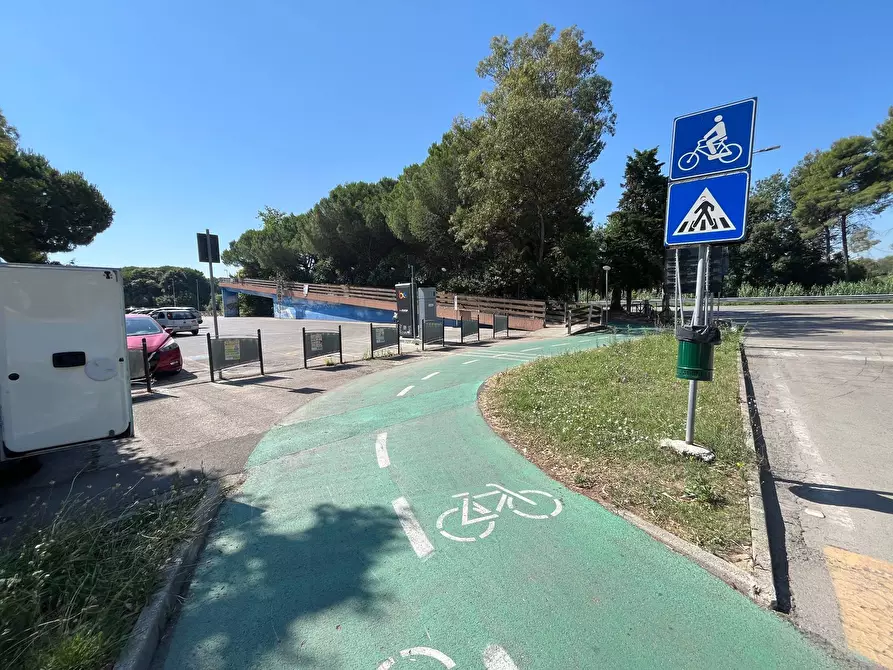 Immagine 6 di Agriturismo in vendita  in SS 16 SUD a San Salvo