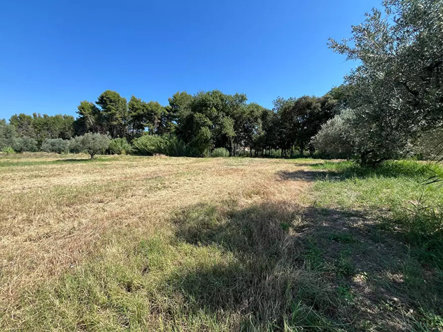 Immagine 9 di Agriturismo in vendita  in SS 16 SUD a San Salvo