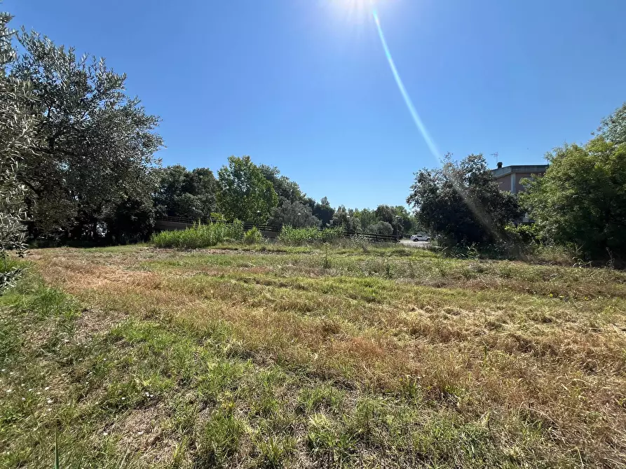 Immagine 11 di Agriturismo in vendita  in SS 16 SUD a San Salvo