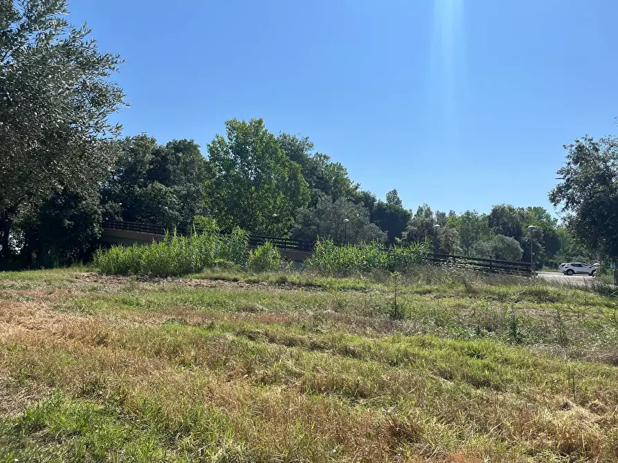 Immagine 12 di Agriturismo in vendita  in SS 16 SUD a San Salvo