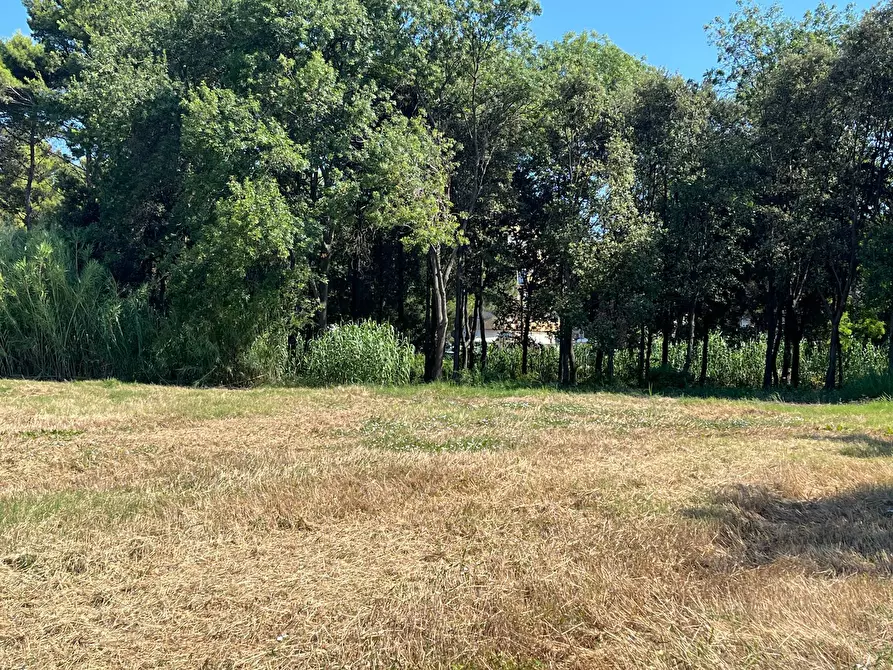 Immagine 14 di Agriturismo in vendita  in SS 16 SUD a San Salvo