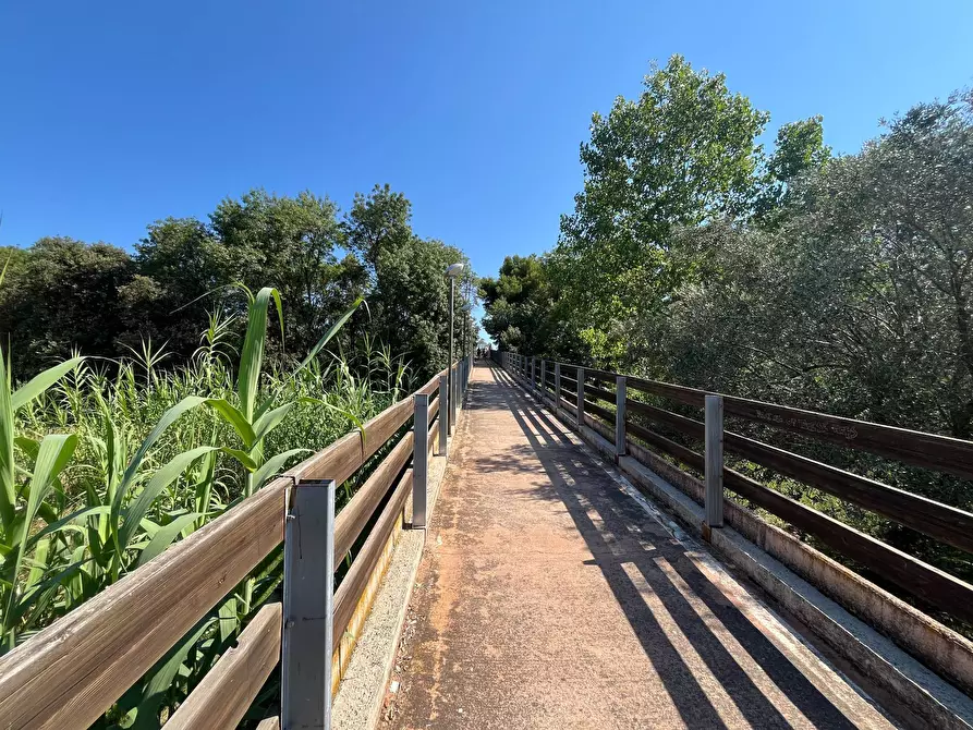 Immagine 15 di Agriturismo in vendita  in SS 16 SUD a San Salvo