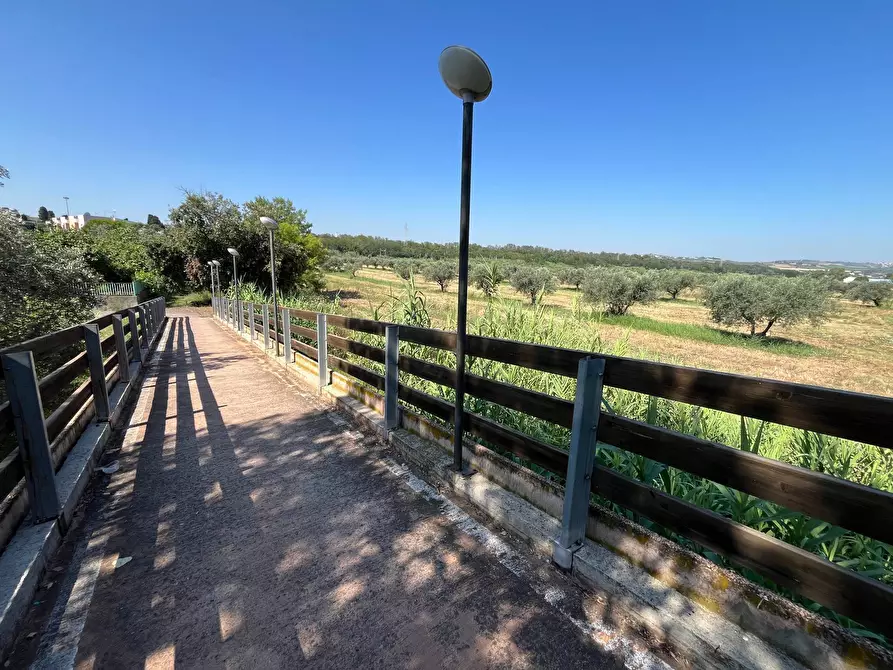 Immagine 17 di Agriturismo in vendita  in SS 16 SUD a San Salvo