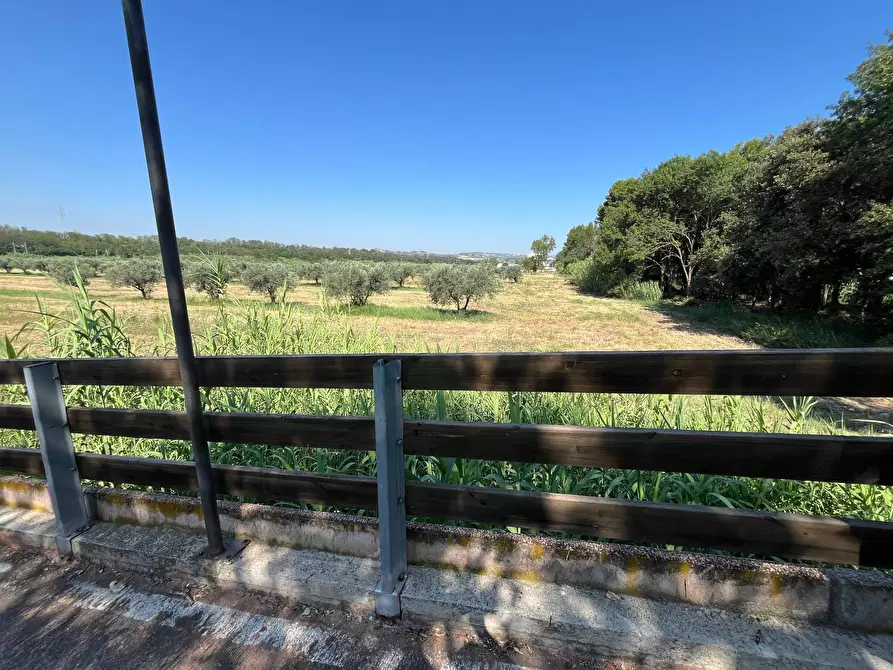 Immagine 18 di Agriturismo in vendita  in SS 16 SUD a San Salvo