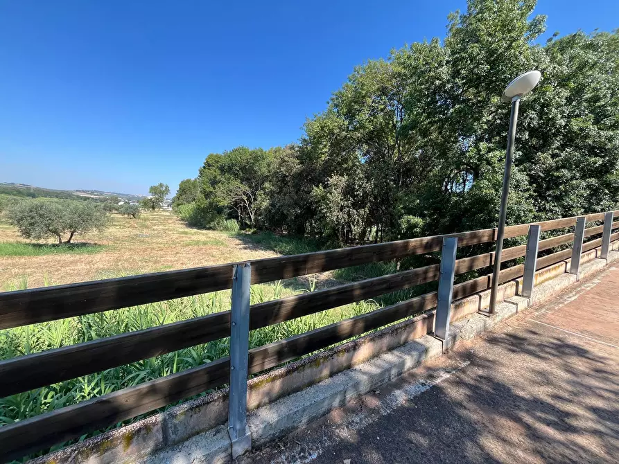 Immagine 19 di Agriturismo in vendita  in SS 16 SUD a San Salvo