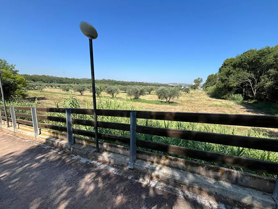 Immagine 21 di Agriturismo in vendita  in SS 16 SUD a San Salvo