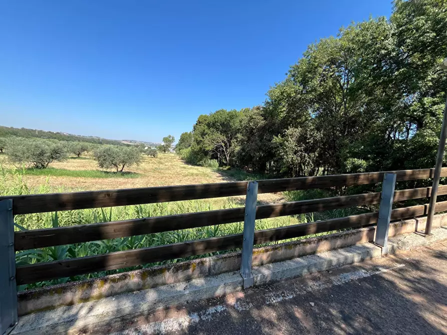 Immagine 22 di Agriturismo in vendita  in SS 16 SUD a San Salvo