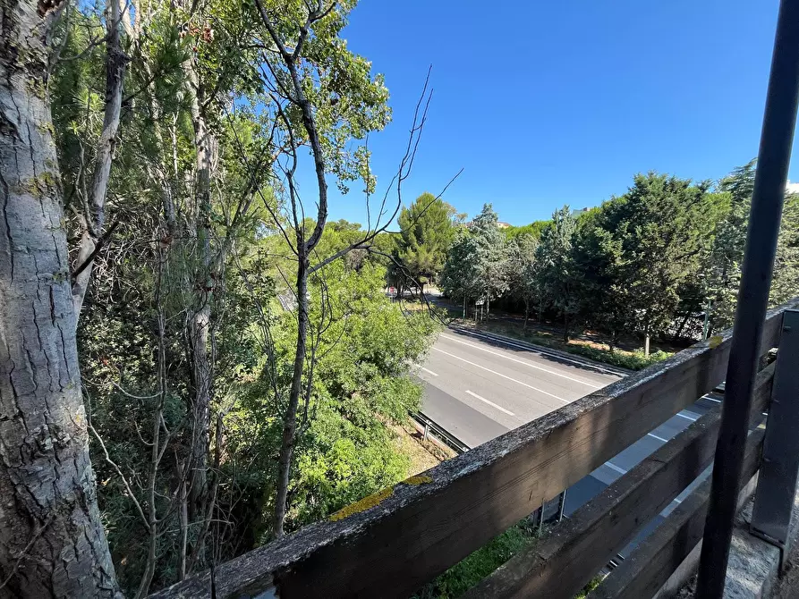 Immagine 23 di Agriturismo in vendita  in SS 16 SUD a San Salvo