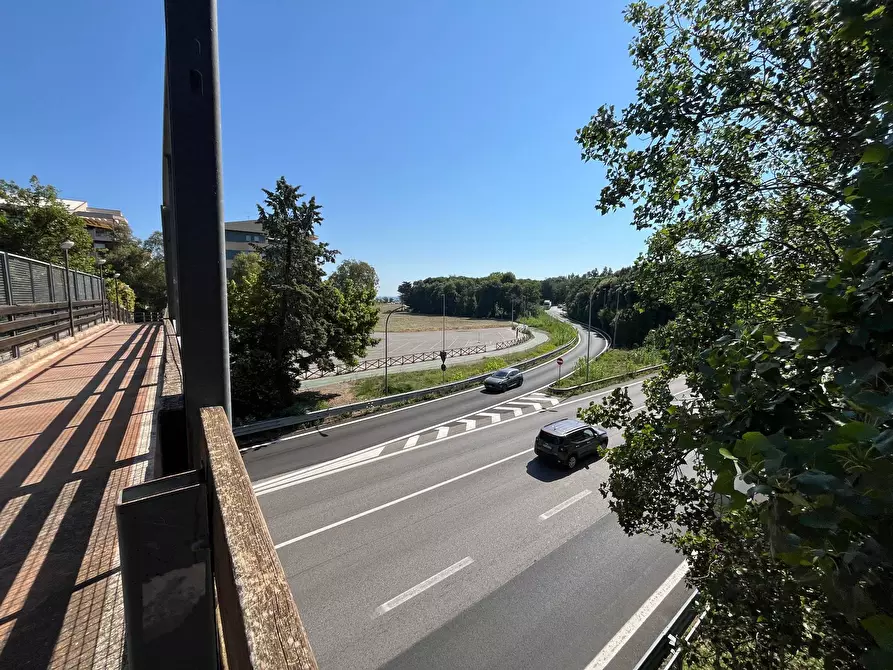 Immagine 25 di Agriturismo in vendita  in SS 16 SUD a San Salvo