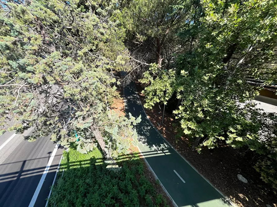 Immagine 30 di Agriturismo in vendita  in SS 16 SUD a San Salvo