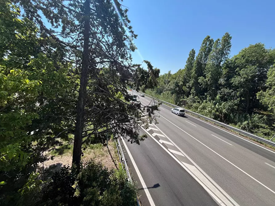 Immagine 32 di Agriturismo in vendita  in SS 16 SUD a San Salvo