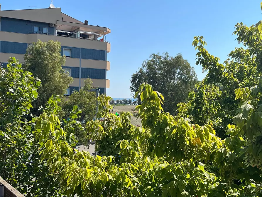 Immagine 33 di Agriturismo in vendita  in SS 16 SUD a San Salvo