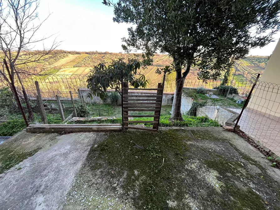 Immagine 5 di Casa semindipendente in vendita  in VIA MUZIO a Pollutri