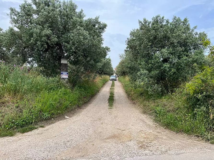 Immagine 2 di Terreno agricolo in vendita  in VIA SAN ROCCO a Vasto
