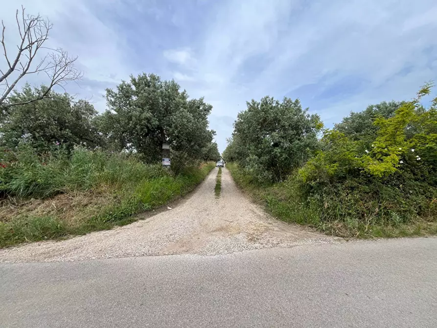 Immagine 3 di Terreno agricolo in vendita  in VIA SAN ROCCO a Vasto