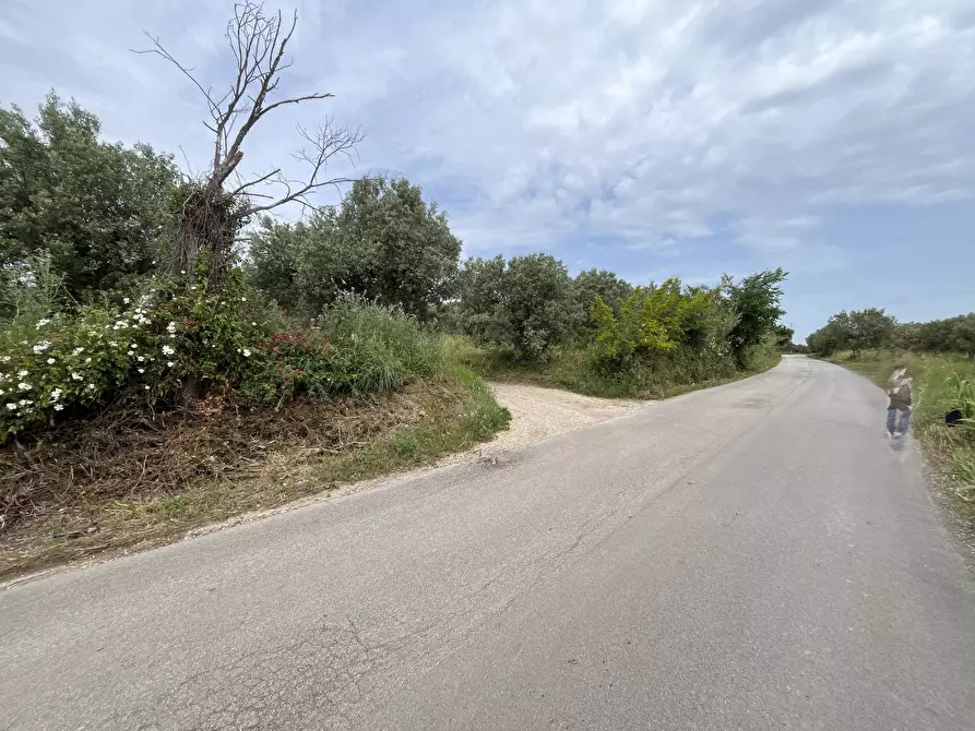 Immagine 4 di Terreno agricolo in vendita  in VIA SAN ROCCO a Vasto