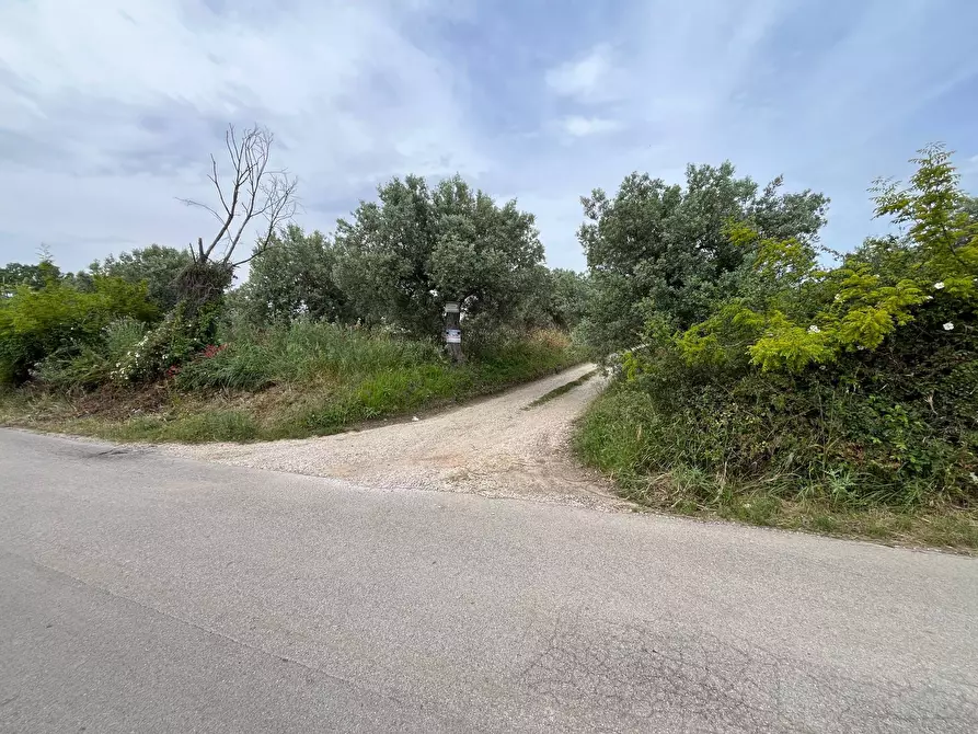 Immagine 5 di Terreno agricolo in vendita  in VIA SAN ROCCO a Vasto