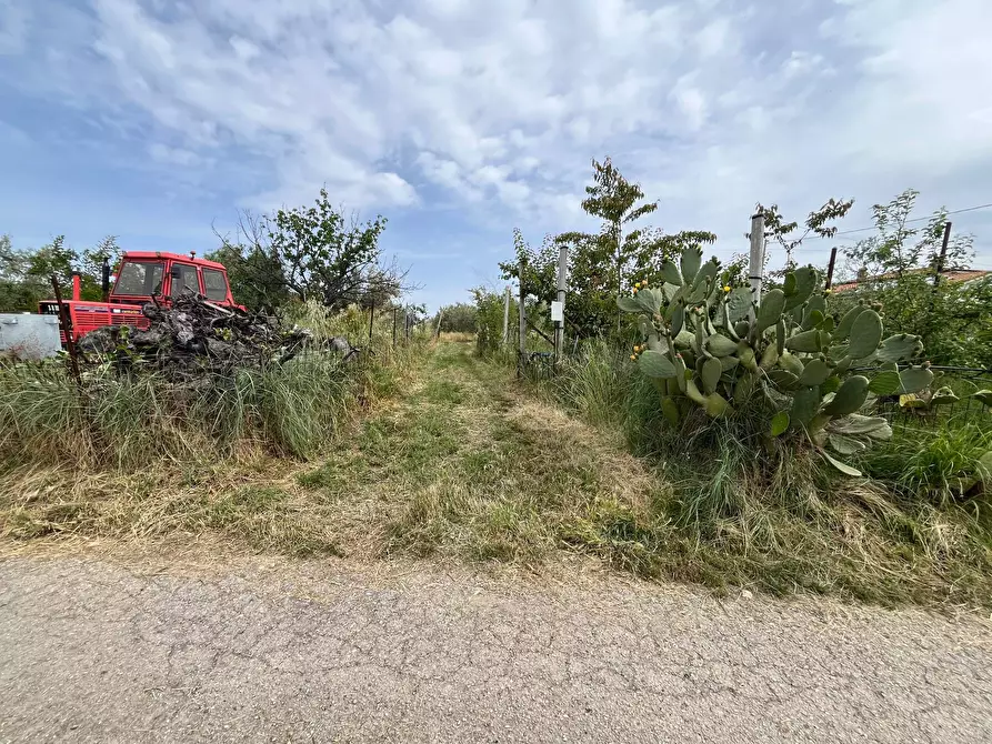 Immagine 9 di Terreno agricolo in vendita  in VIA SAN ROCCO a Vasto