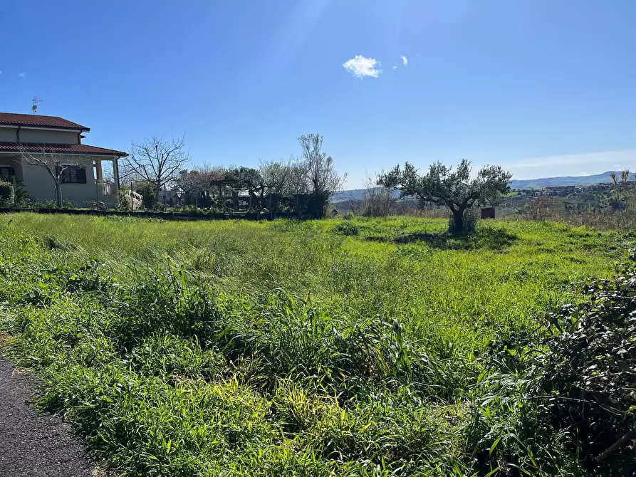 Immagine 5 di Terreno residenziale in vendita  in VIA FONTICELLI a Pollutri