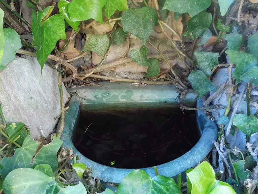 Immagine 38 di Villa in vendita  in VIA PIANO CROCE a Pollutri