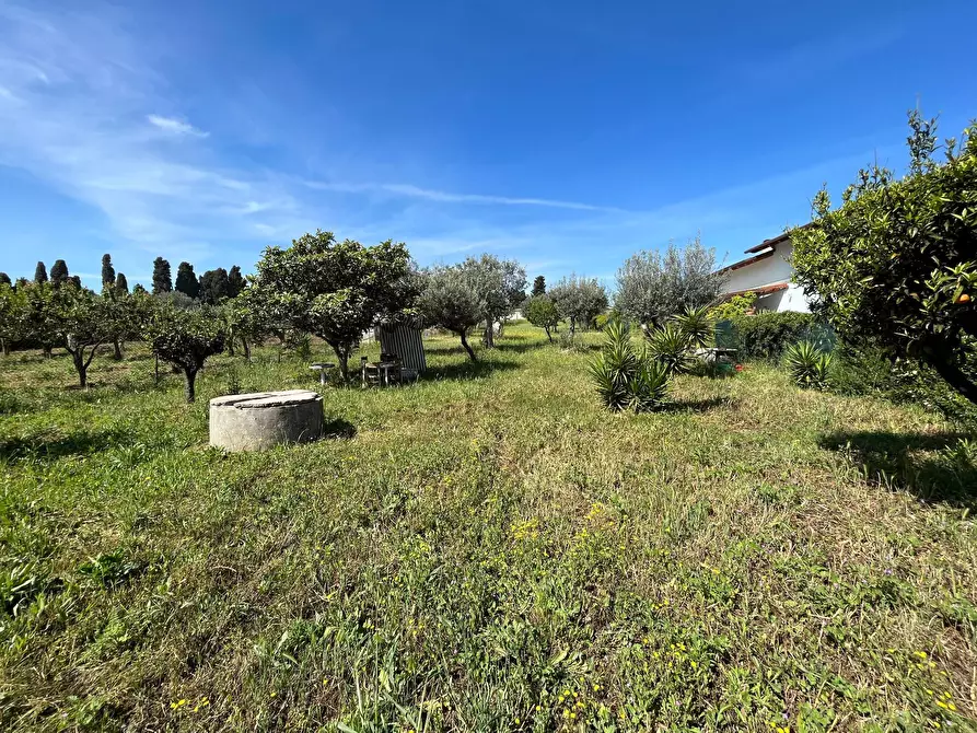 Immagine 32 di Casa semindipendente in vendita  in VIA CATONE a Vasto