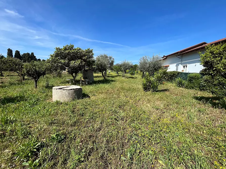 Immagine 33 di Casa semindipendente in vendita  in VIA CATONE a Vasto