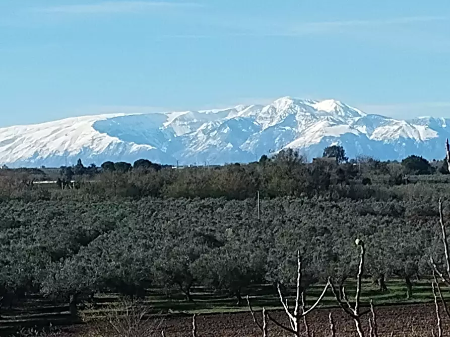Immagine 4 di Villa in vendita  in VIA OSCA a Vasto
