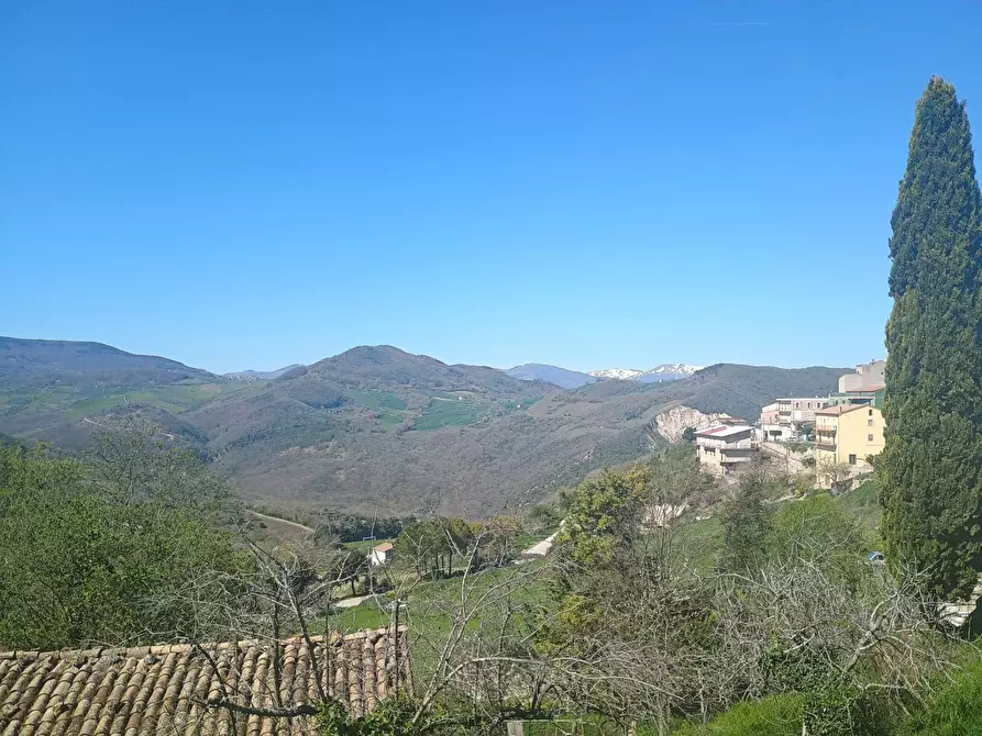Immagine 23 di Casa semindipendente in vendita  in VIA CAPPELLA a San Felice Del Molise