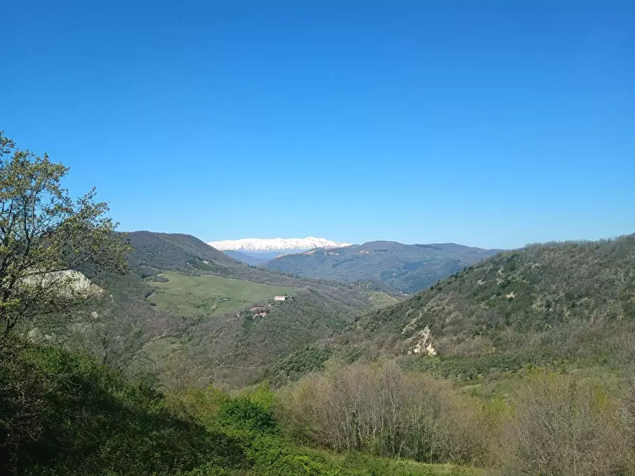 Immagine 24 di Casa semindipendente in vendita  in VIA CAPPELLA a San Felice Del Molise