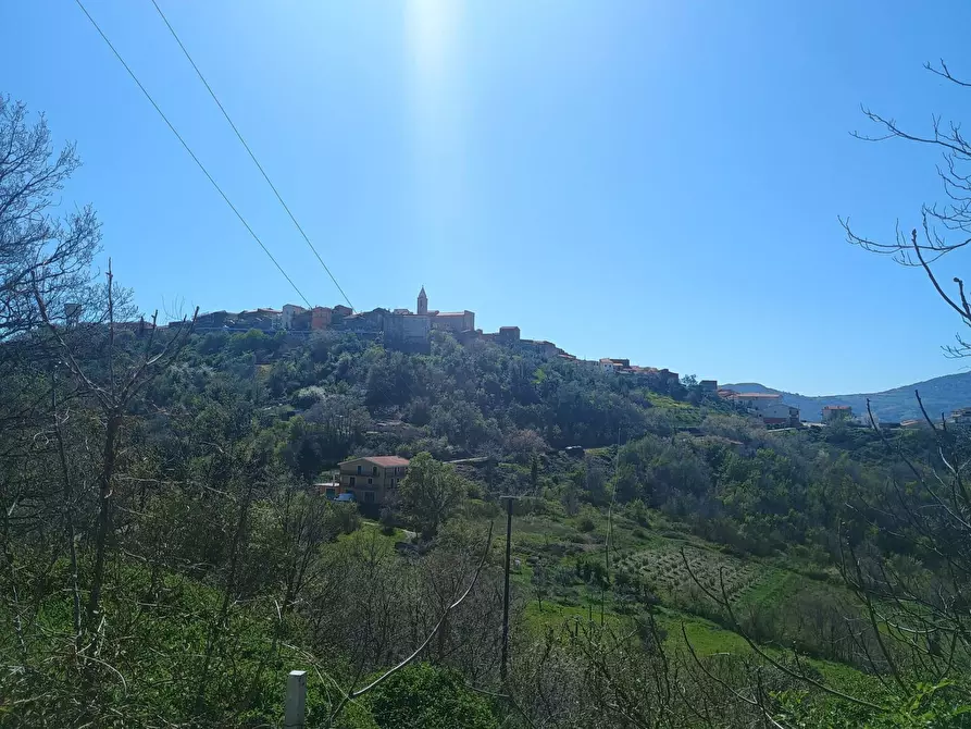 Immagine 25 di Casa semindipendente in vendita  in VIA CAPPELLA a San Felice Del Molise