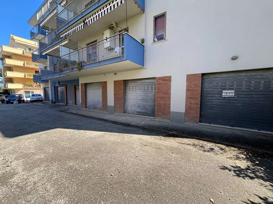 Immagine 9 di Agriturismo in vendita  in VIA CONTI RICCI a Vasto