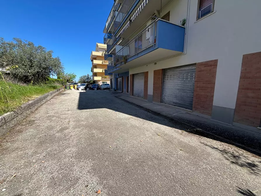 Immagine 10 di Agriturismo in vendita  in VIA CONTI RICCI a Vasto