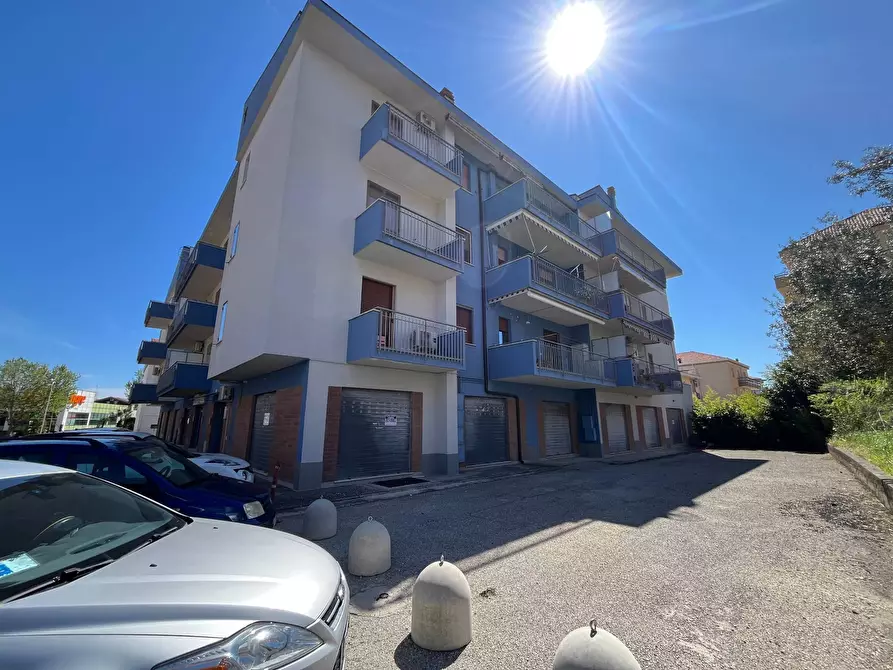 Immagine 14 di Agriturismo in vendita  in VIA CONTI RICCI a Vasto