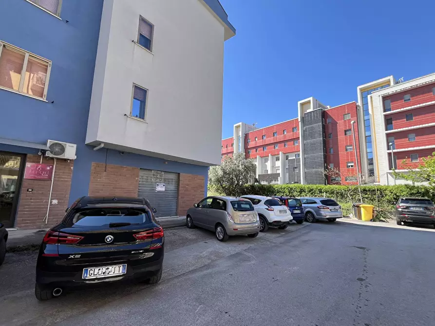 Immagine 19 di Agriturismo in vendita  in VIA CONTI RICCI a Vasto