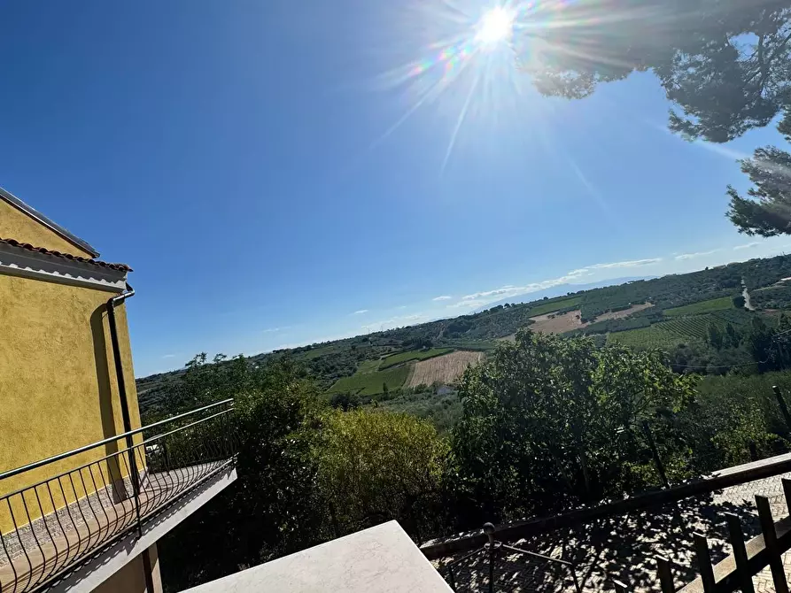 Immagine 49 di Casa indipendente in vendita  in CONTRADA COLLE MINCUCCIO a Cupello