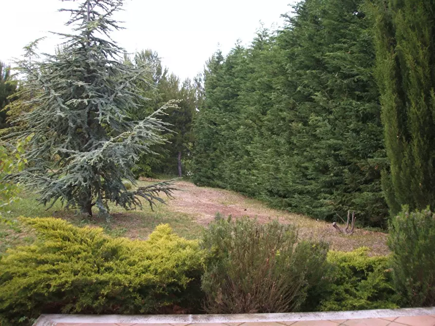 Immagine 38 di Villa in vendita  in Contrada Magazzini 18 a Ripatransone