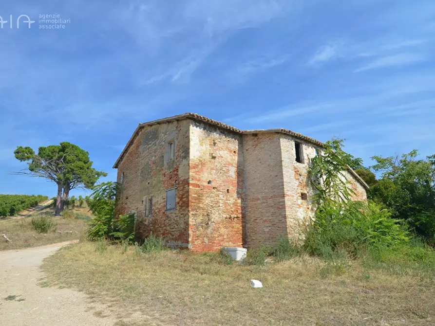 Immagine 3 di Rustico / casale in vendita  in Contrada Palazzi snc a Spinetoli