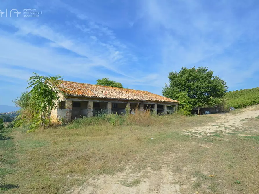 Immagine 4 di Rustico / casale in vendita  in Contrada Palazzi snc a Spinetoli