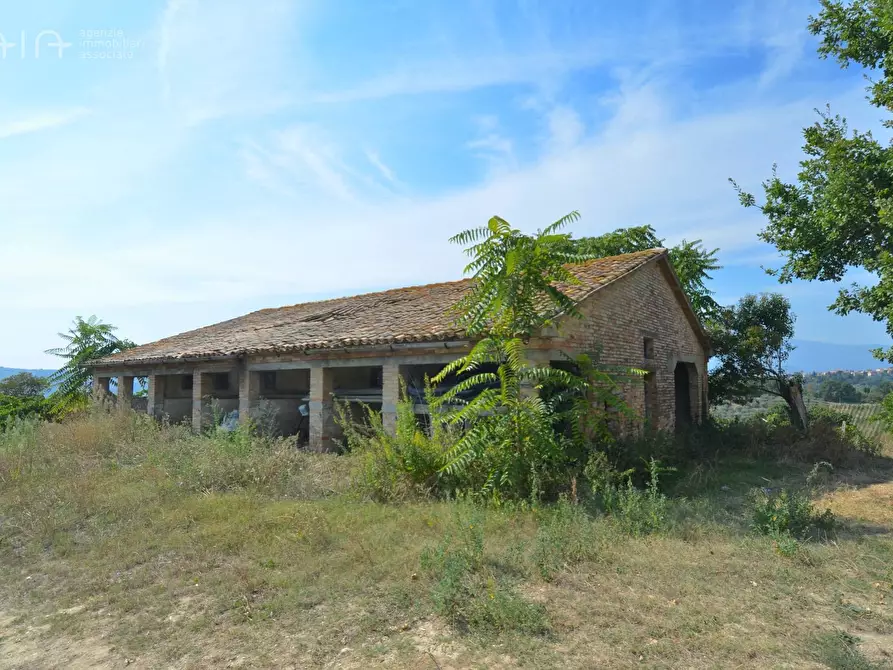 Immagine 5 di Rustico / casale in vendita  in Contrada Palazzi snc a Spinetoli