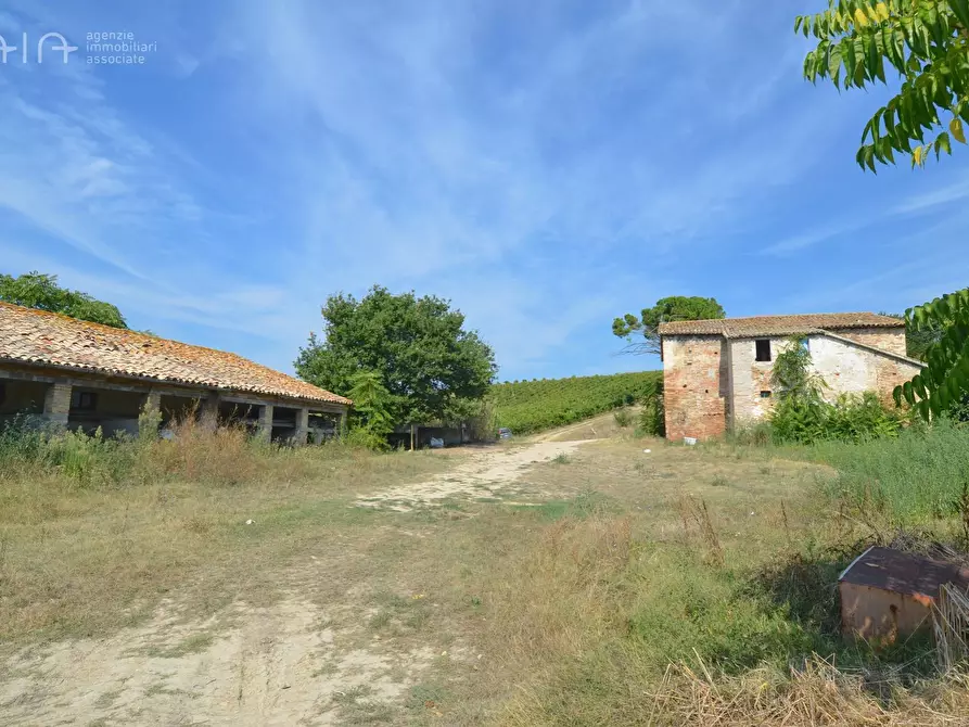 Immagine 7 di Rustico / casale in vendita  in Contrada Palazzi snc a Spinetoli