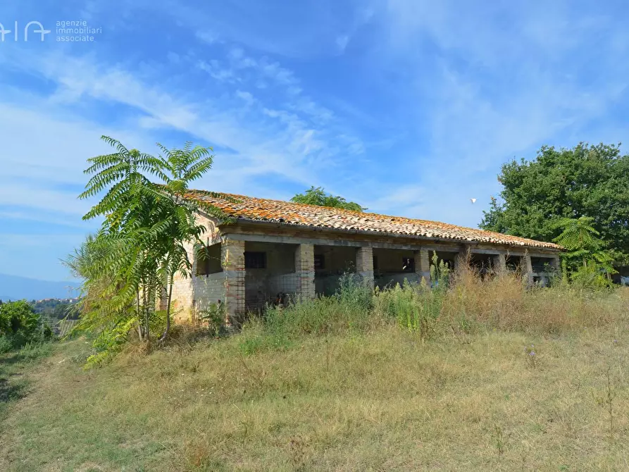 Immagine 9 di Rustico / casale in vendita  in Contrada Palazzi snc a Spinetoli