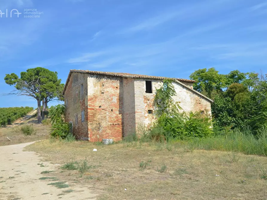 Immagine 11 di Rustico / casale in vendita  in Contrada Palazzi snc a Spinetoli