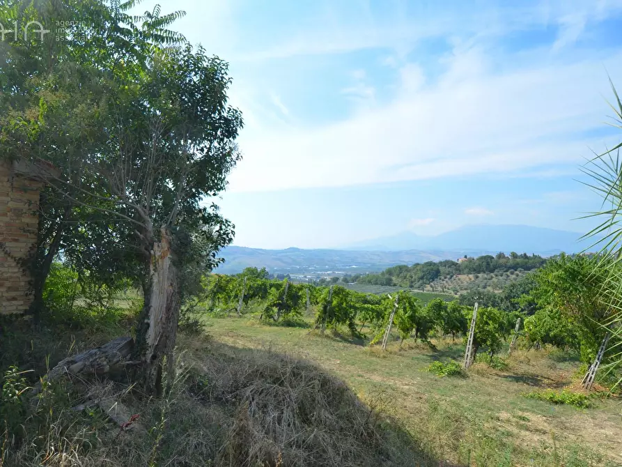 Immagine 13 di Rustico / casale in vendita  in Contrada Palazzi snc a Spinetoli